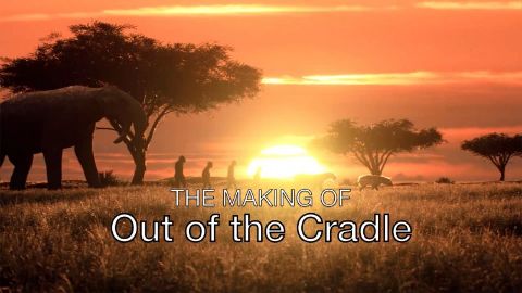 The Making Of