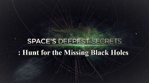 Hunt for the Missing Black Holes