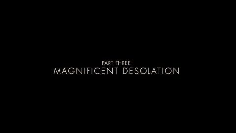 Magnificent Desolation