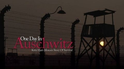 One Day in Auschwitz