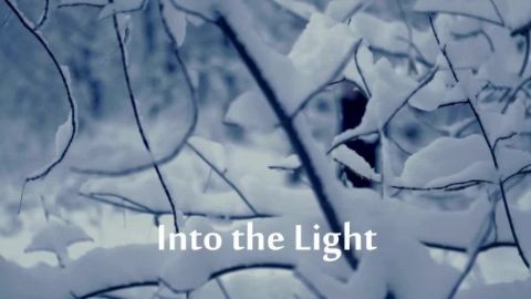 Into the Light
