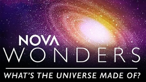 What's the Universe Made Of?