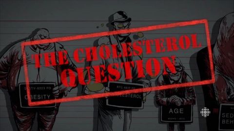 The Cholesterol Question